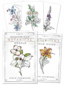 (image for) Hedgewitch Botanical oracle - Click Image to Close