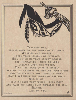 (image for) Mantis Prayer - Click Image to Close