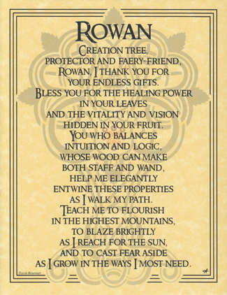 (image for) Rowan - Click Image to Close