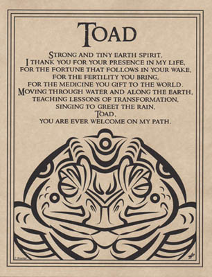 (image for) Toad Blessing - Click Image to Close