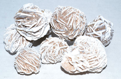 (image for) 1 Lb Desert Rose - Click Image to Close