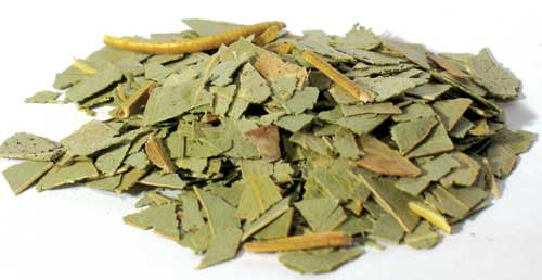 (image for) Eucalyptus cut 2oz - Click Image to Close