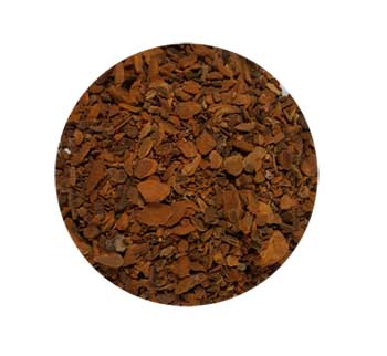 (image for) Sassafras Root cut 1oz (Sassafras albidium) - Click Image to Close