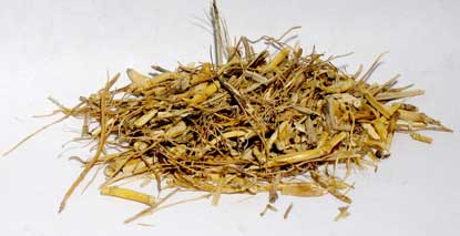 (image for) Witches Grass 2oz - Click Image to Close