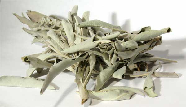 (image for) White Sage 2oz