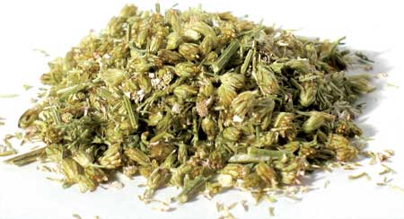 (image for) Yarrow flower 2oz - Click Image to Close