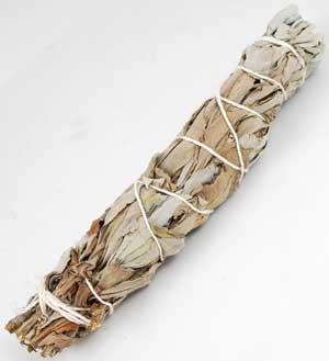 (image for) White Sage smudge 5-6" - Click Image to Close