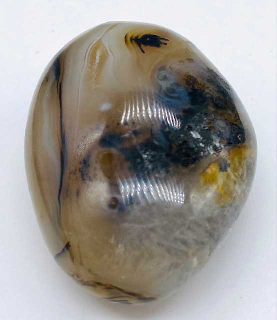 (image for) Agate, Dendritic palm stone - Click Image to Close