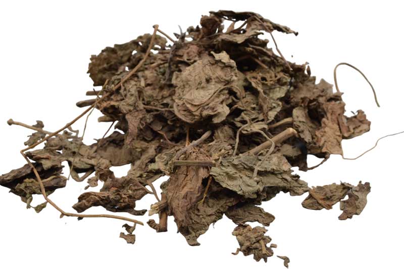 (image for) 1 Lb Patchouli Leaf whole - Click Image to Close