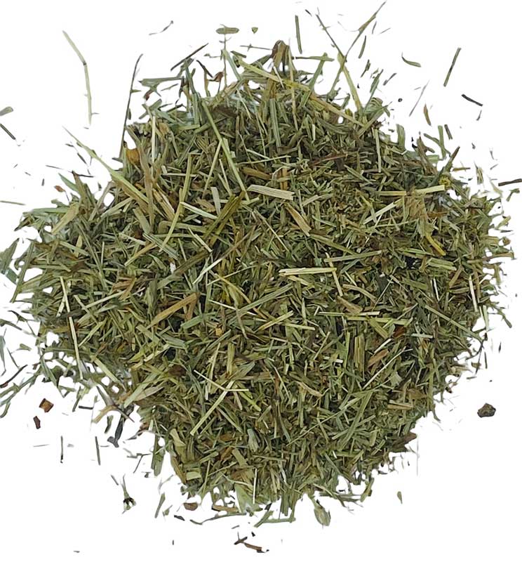 (image for) 1 Lb Shavegrass cut wild crafted (horsetail) - Click Image to Close